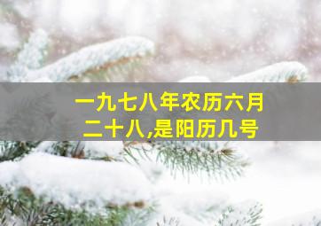 一九七八年农历六月二十八,是阳历几号