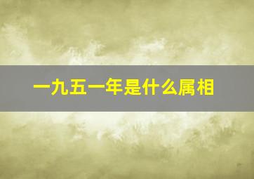 一九五一年是什么属相