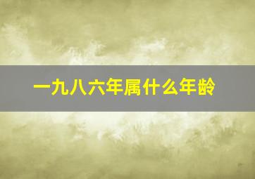 一九八六年属什么年龄