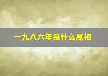 一九八六年是什么属相