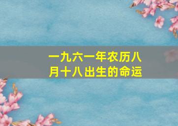 一九六一年农历八月十八出生的命运