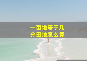 一亩地等于几分田地怎么算