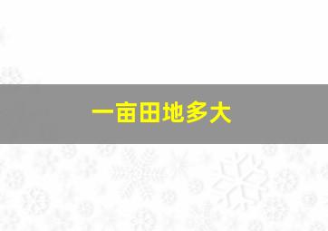 一亩田地多大