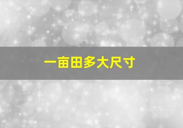 一亩田多大尺寸