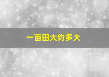 一亩田大约多大