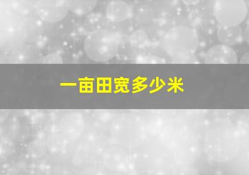 一亩田宽多少米