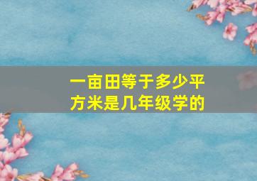 一亩田等于多少平方米是几年级学的