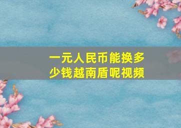 一元人民币能换多少钱越南盾呢视频