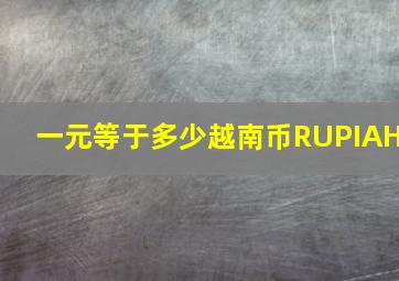 一元等于多少越南币RUPIAH