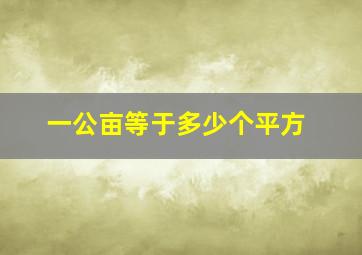 一公亩等于多少个平方