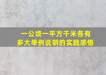 一公顷一平方千米各有多大举例说明的实践感悟