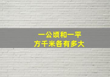 一公顷和一平方千米各有多大