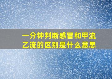 一分钟判断感冒和甲流乙流的区别是什么意思