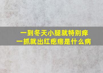 一到冬天小腿就特别痒一抓就出红疙瘩是什么病