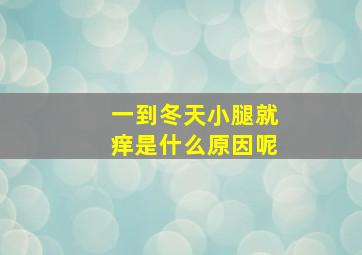 一到冬天小腿就痒是什么原因呢