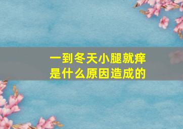 一到冬天小腿就痒是什么原因造成的