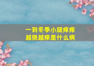 一到冬季小腿痒痒越挠越痒是什么病