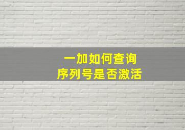 一加如何查询序列号是否激活