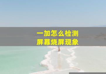 一加怎么检测屏幕烧屏现象