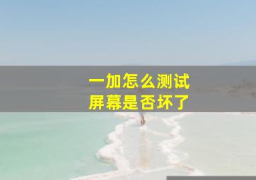 一加怎么测试屏幕是否坏了