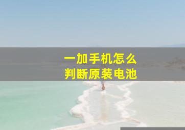 一加手机怎么判断原装电池