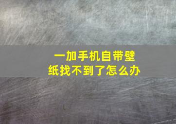 一加手机自带壁纸找不到了怎么办