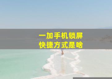 一加手机锁屏快捷方式是啥