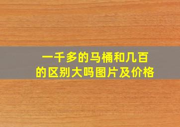 一千多的马桶和几百的区别大吗图片及价格