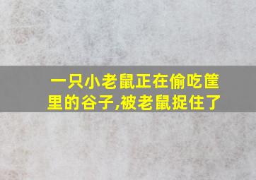 一只小老鼠正在偷吃筐里的谷子,被老鼠捉住了