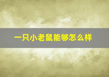 一只小老鼠能够怎么样