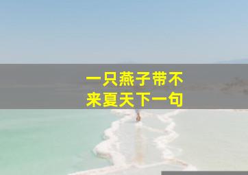 一只燕子带不来夏天下一句