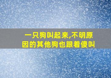 一只狗叫起来,不明原因的其他狗也跟着傻叫