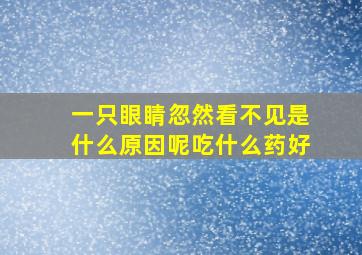 一只眼睛忽然看不见是什么原因呢吃什么药好