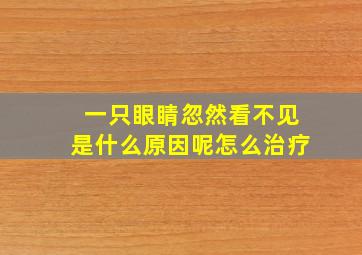 一只眼睛忽然看不见是什么原因呢怎么治疗