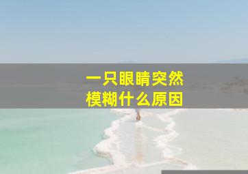 一只眼睛突然模糊什么原因