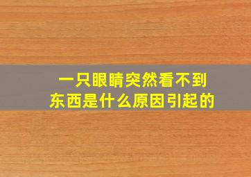 一只眼睛突然看不到东西是什么原因引起的