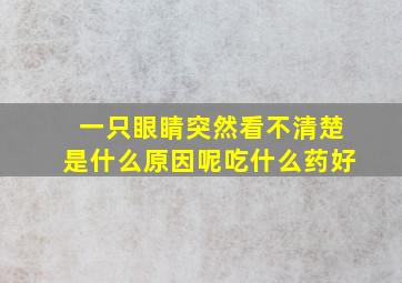 一只眼睛突然看不清楚是什么原因呢吃什么药好