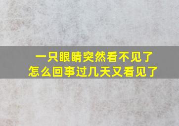 一只眼睛突然看不见了怎么回事过几天又看见了