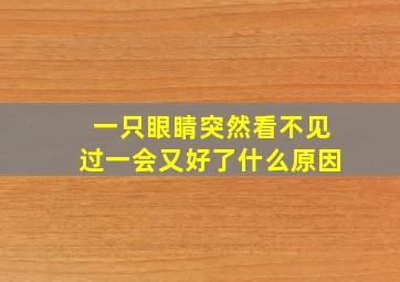 一只眼睛突然看不见过一会又好了什么原因