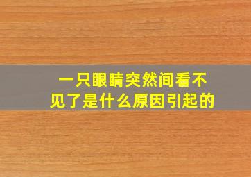 一只眼睛突然间看不见了是什么原因引起的