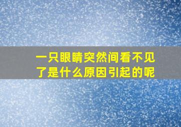 一只眼睛突然间看不见了是什么原因引起的呢