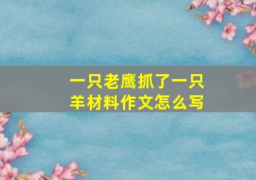 一只老鹰抓了一只羊材料作文怎么写