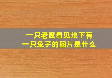 一只老鹰看见地下有一只兔子的图片是什么