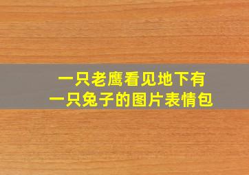 一只老鹰看见地下有一只兔子的图片表情包