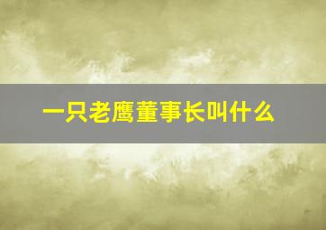 一只老鹰董事长叫什么