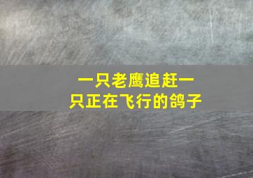 一只老鹰追赶一只正在飞行的鸽子