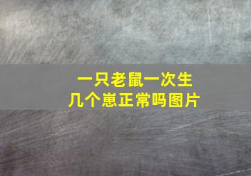 一只老鼠一次生几个崽正常吗图片