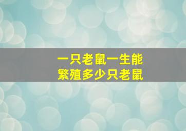 一只老鼠一生能繁殖多少只老鼠