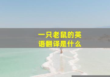 一只老鼠的英语翻译是什么