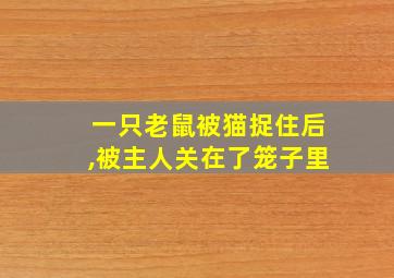 一只老鼠被猫捉住后,被主人关在了笼子里